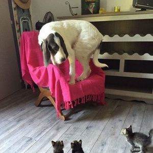 Meet your Posher, Matthew